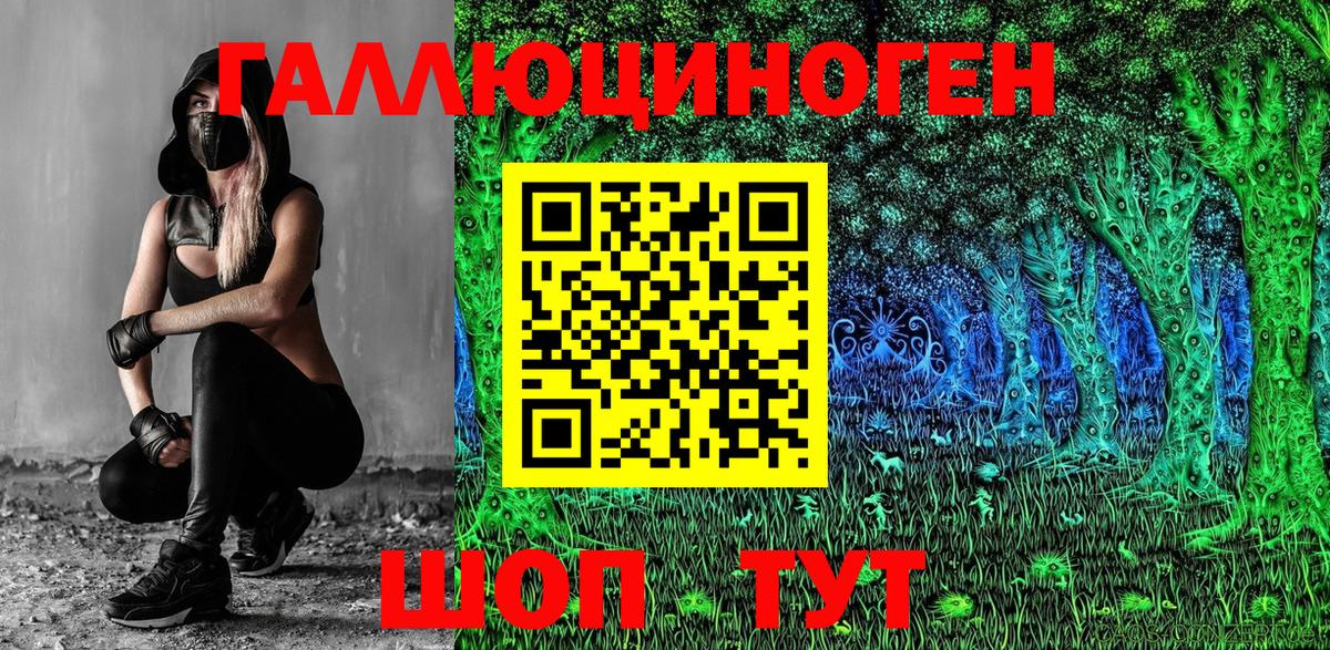 Псилоцибиновые грибы Cubensis Сатка